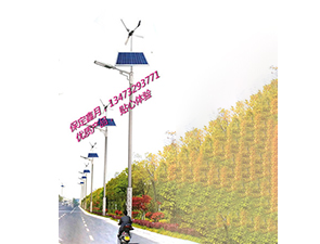 風(fēng)光互補(bǔ)太陽(yáng)能路燈FGD-31 風(fēng)光互補(bǔ)太陽(yáng)能路燈FGD-31