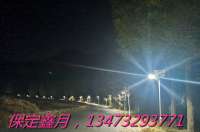 2020年太陽(yáng)能路燈發(fā)展趨勢(shì)管窺